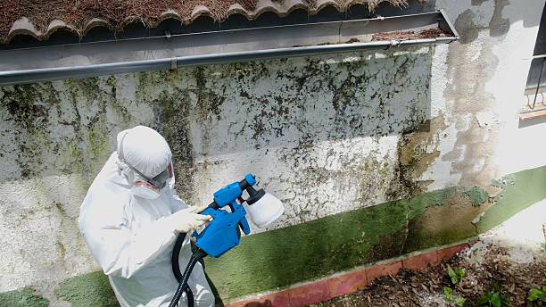Trusted Mold Inspection service in Balm, FL - Cheap Mold Removal